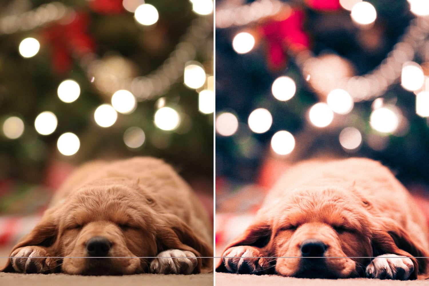 Creative Kits Presets montrant avant et après