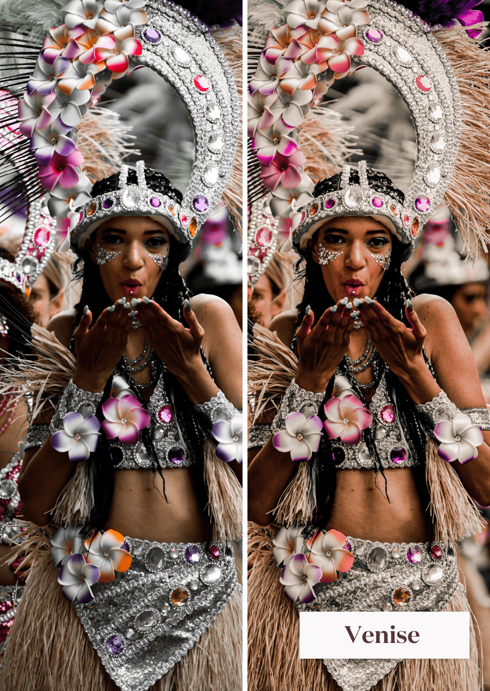 Carnaval Collection (Presets) - Creative Kits