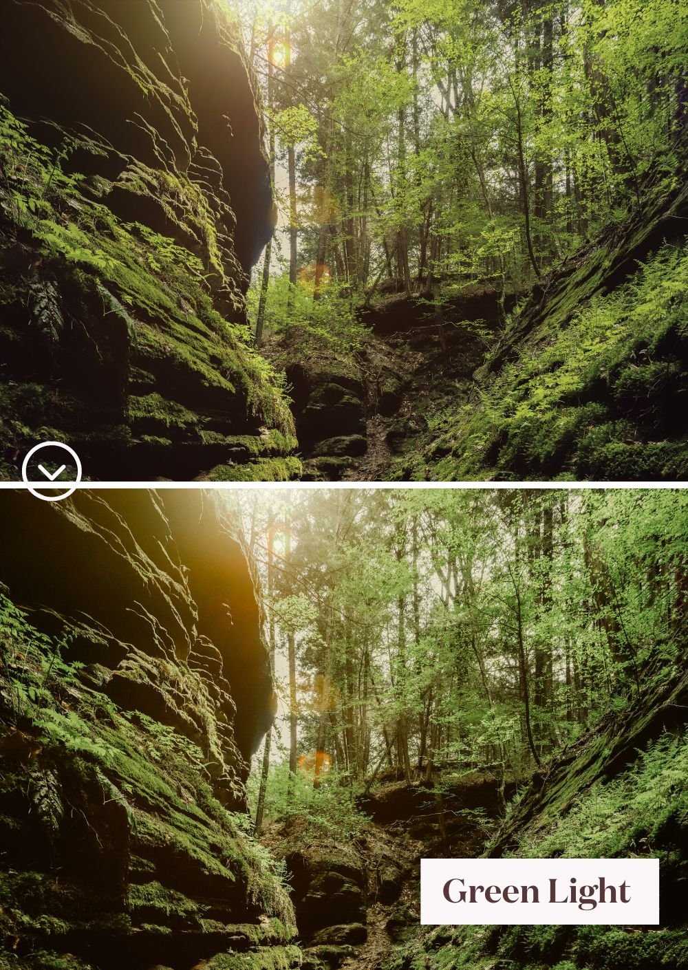Green Tones Collection: Un monde de presets vibrant de verts - Creative Kits