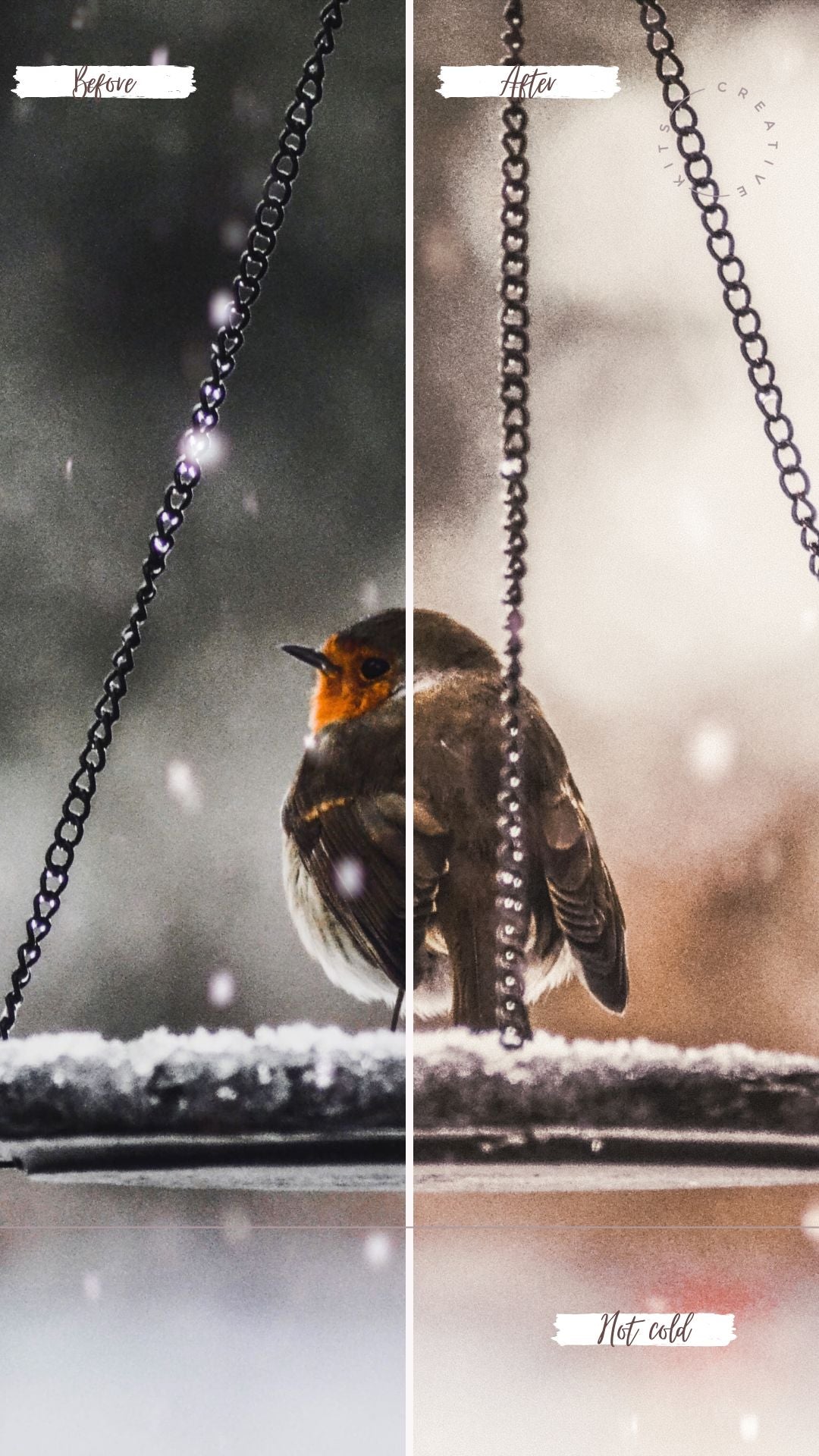 Snowdrops Presets Collection - Creative Kits