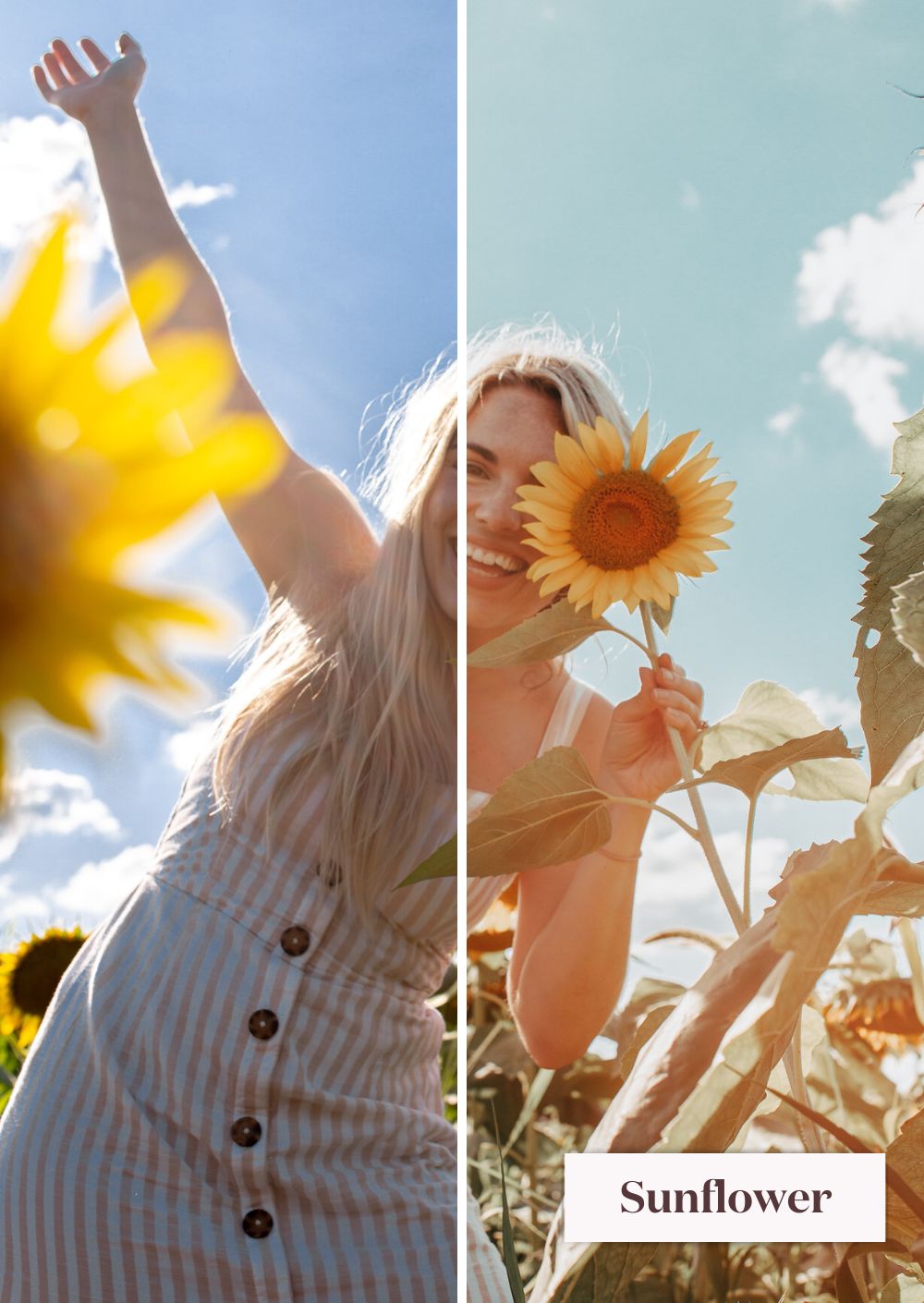 Spring Collection (Presets) - Creative Kits