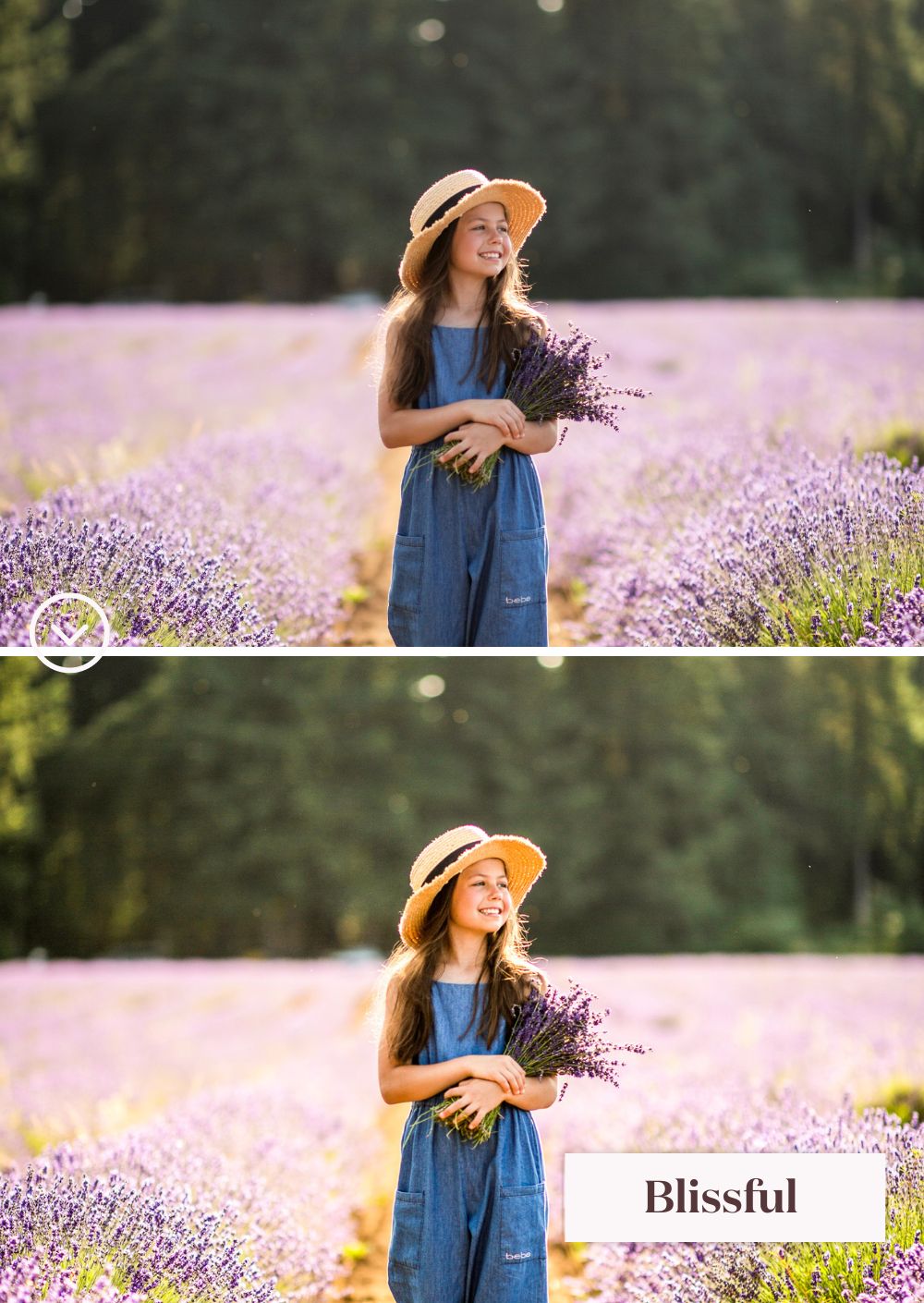 Springtime Presets Collection - Creative Kits