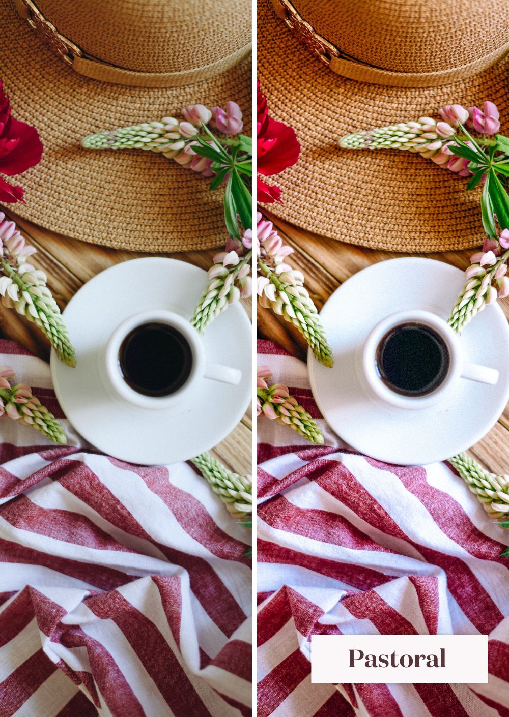 Springtime Presets Collection - Creative Kits