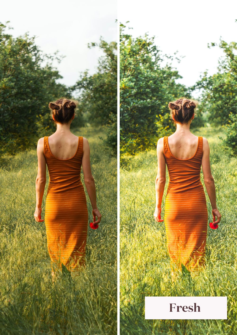 Springtime Presets Collection - Creative Kits