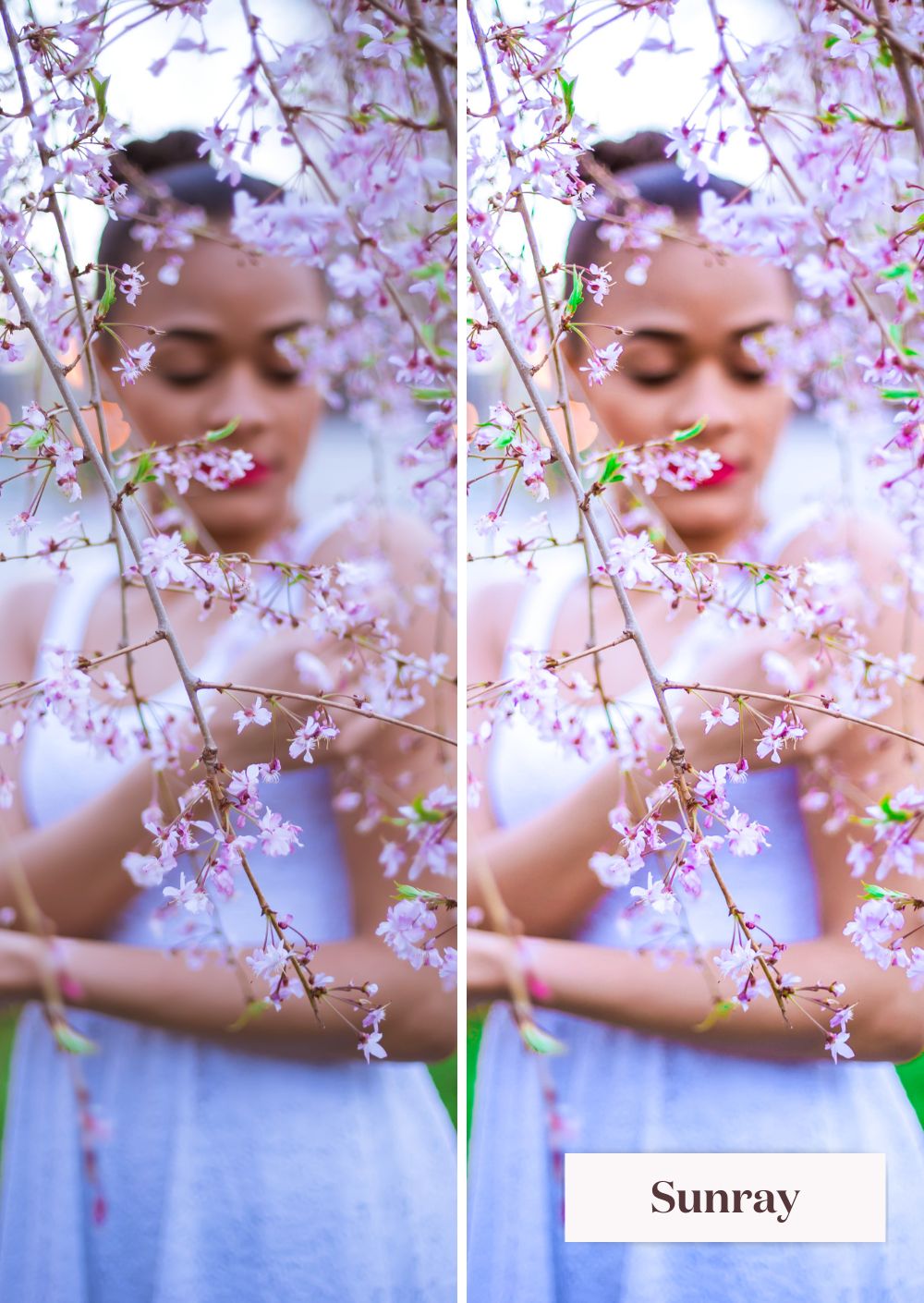 Springtime Presets Collection - Creative Kits