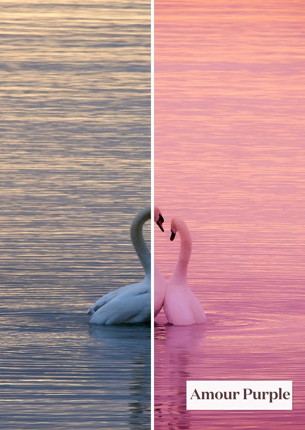 St Valentin Collection (Presets) - Creative Kits