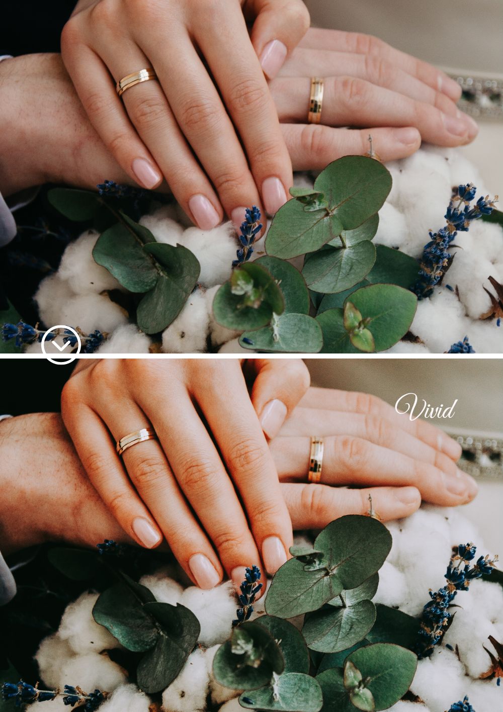 Wedding Collection (Presets) - Creative Kits