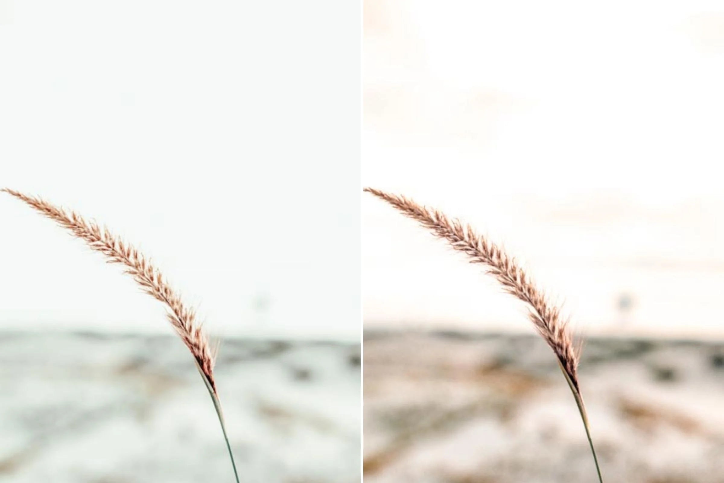 Creative Kits presets helping to create coherence to your digital asset