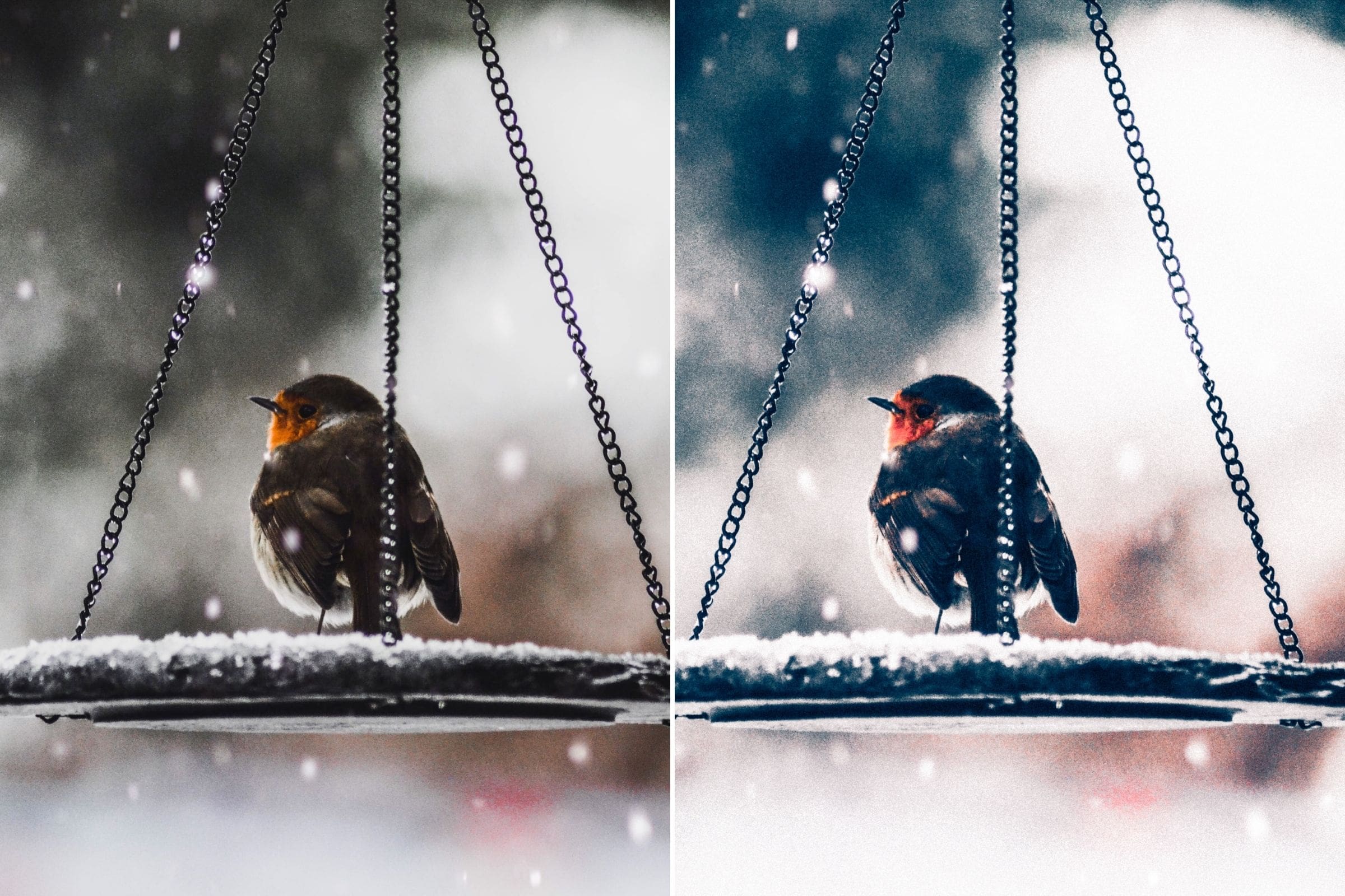 Creative Kits Presets bringing creativity to your pictures