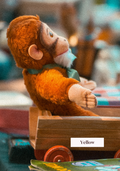 yellow-vintage-after-Collection-Last-Memories