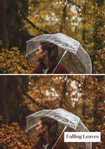 Autumn Collection (Presets) - Creative Kits
