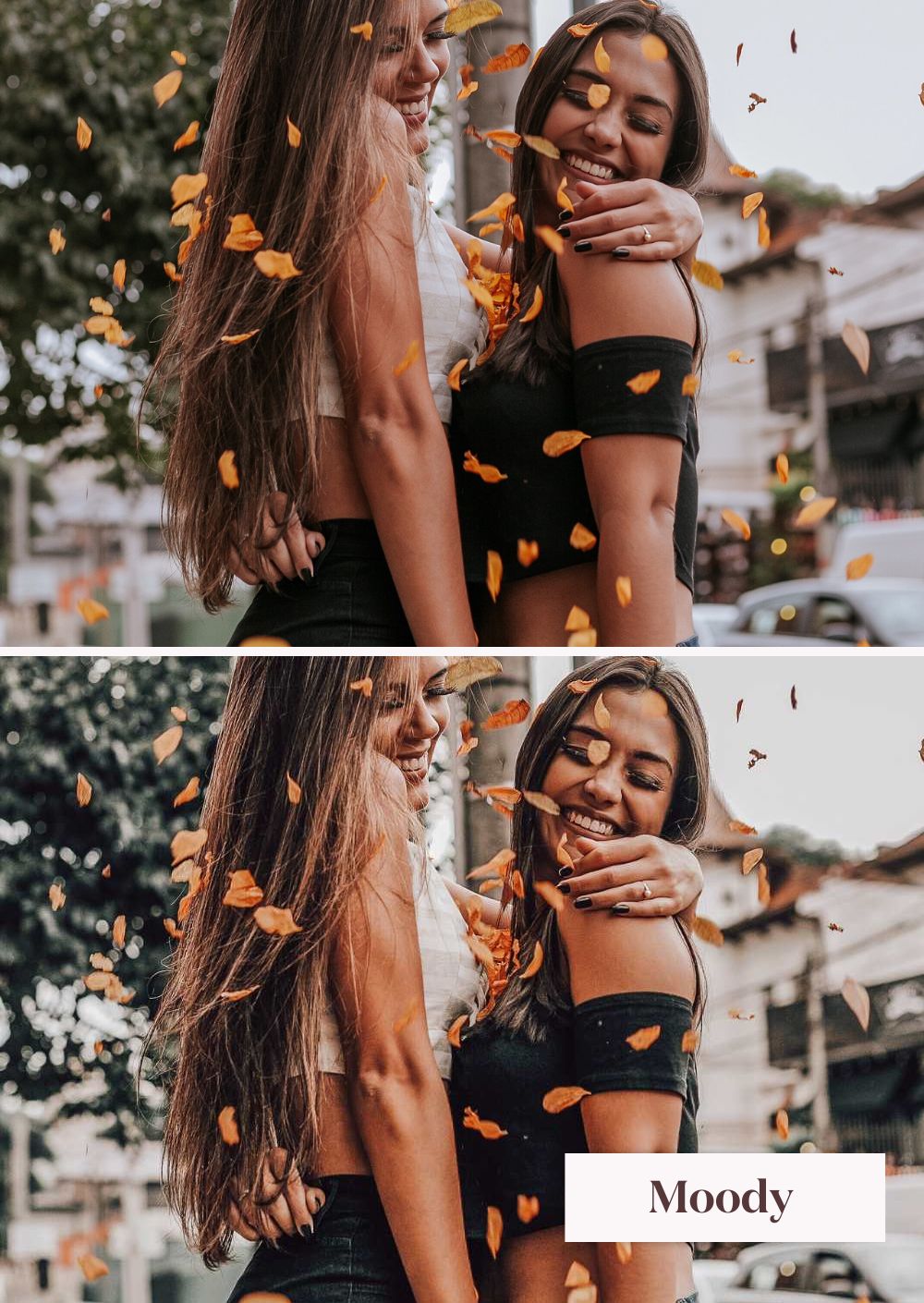 Autumn Collection (Presets) - Creative Kits