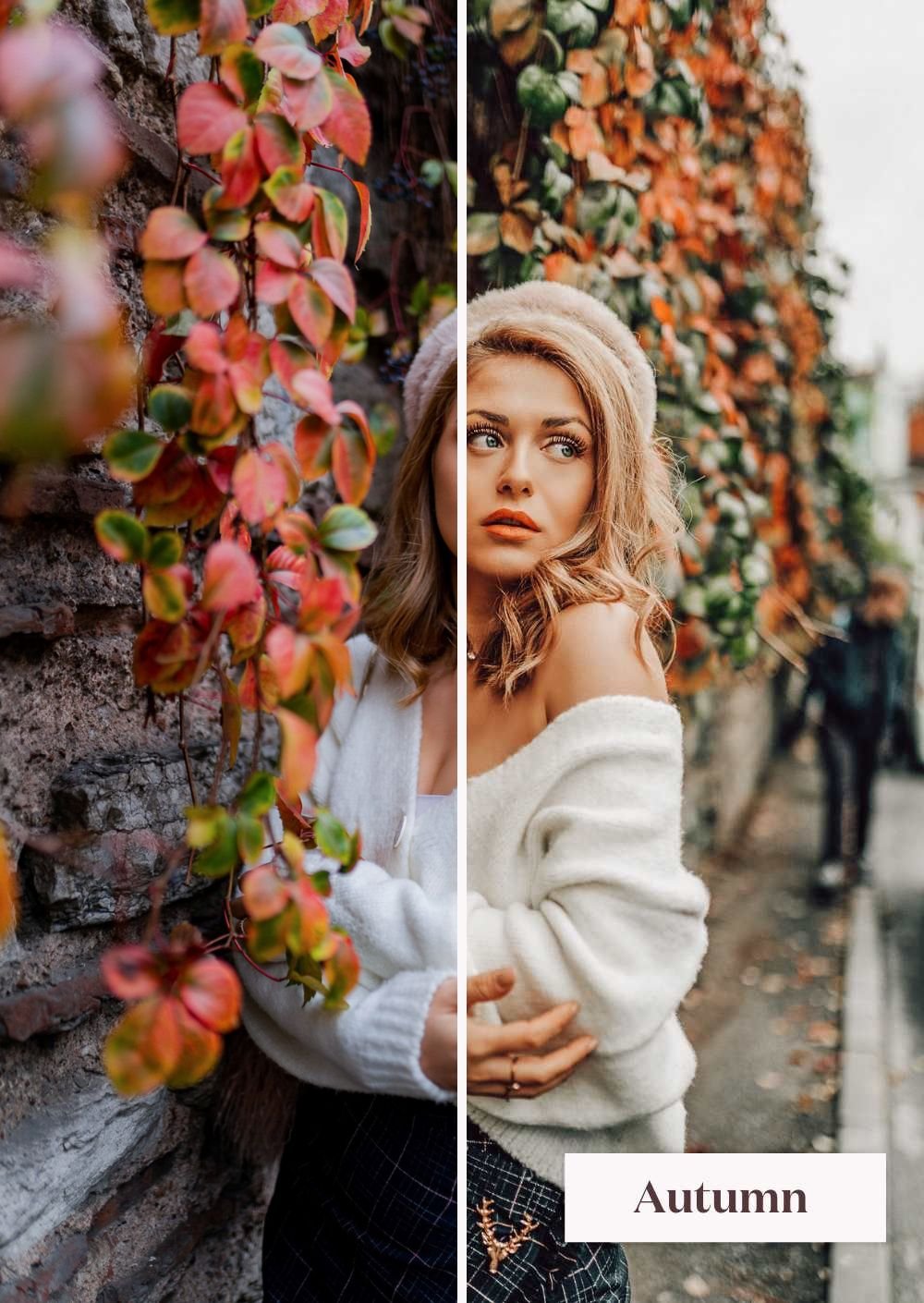Autumn Collection (Presets) - Creative Kits