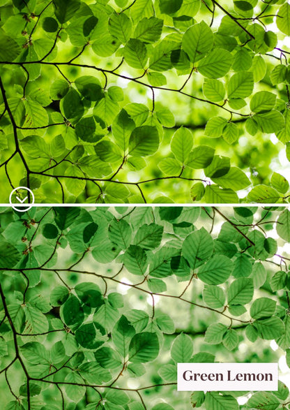 Green Tones Collection: Un monde de presets vibrant de verts - Creative Kits