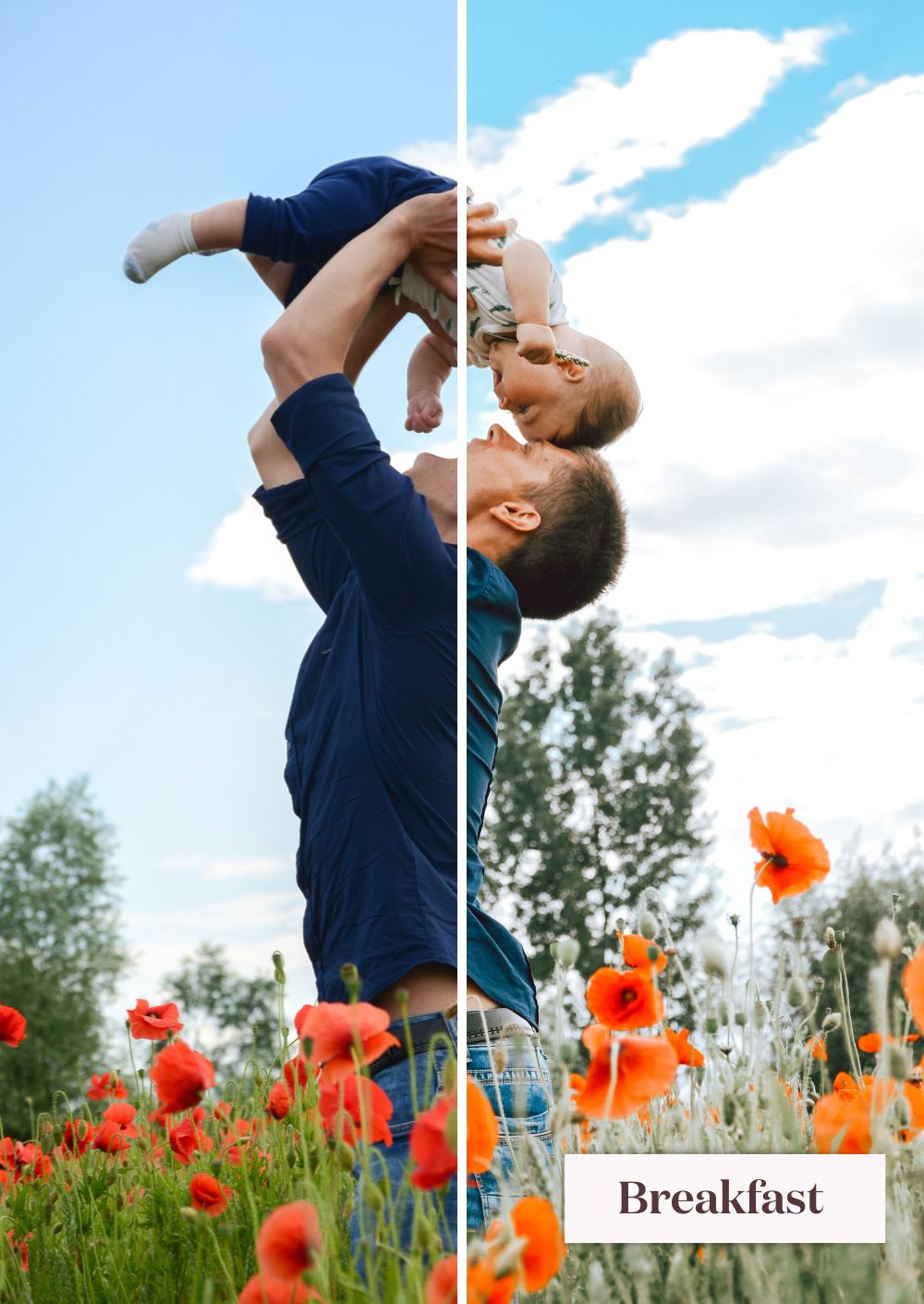 Lifestyle Collection (Presets) - Creative Kits