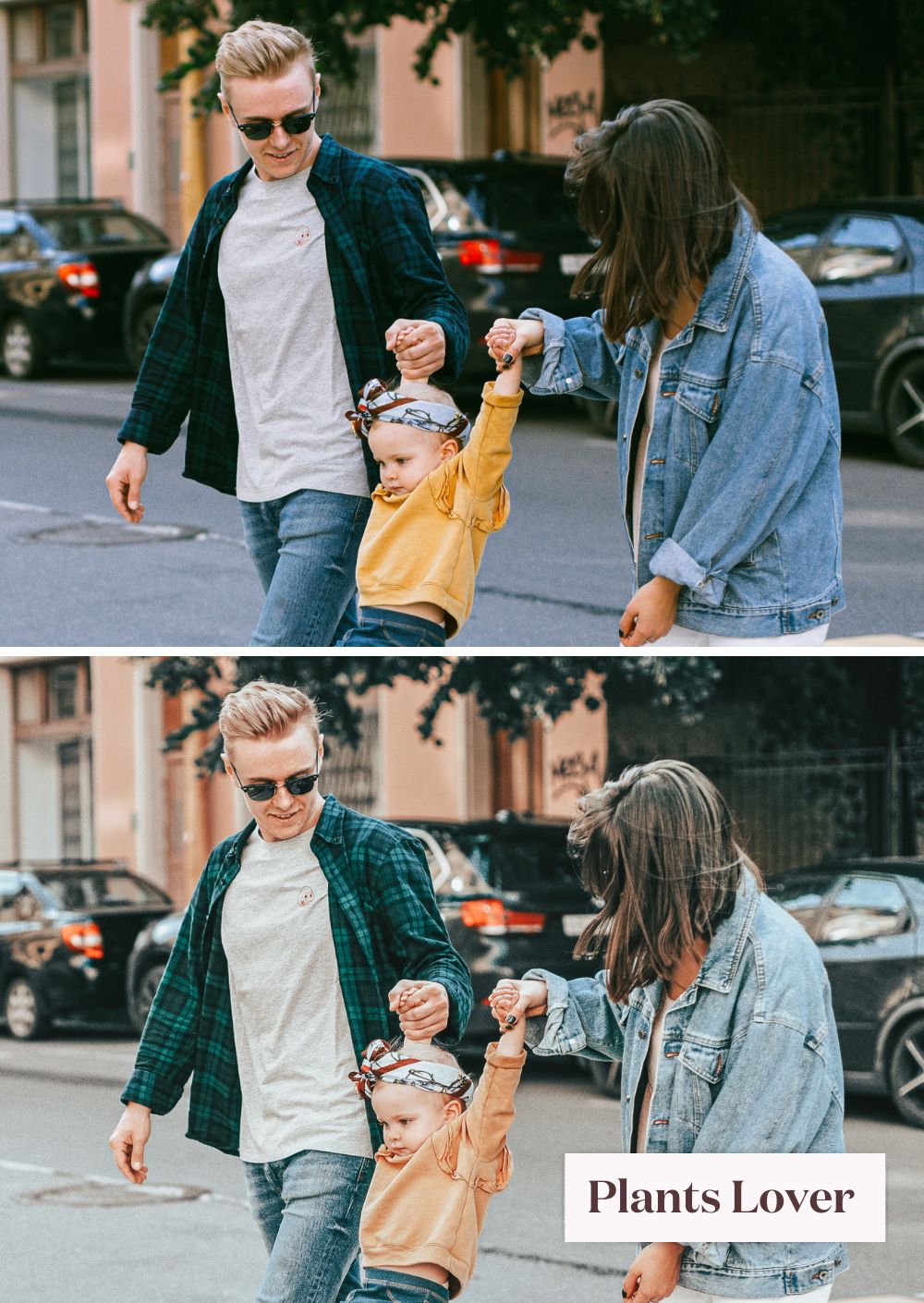 Lifestyle Collection (Presets) - Creative Kits