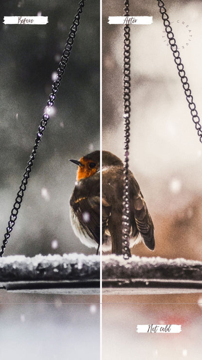 Snowdrops Presets Collection - Creative Kits