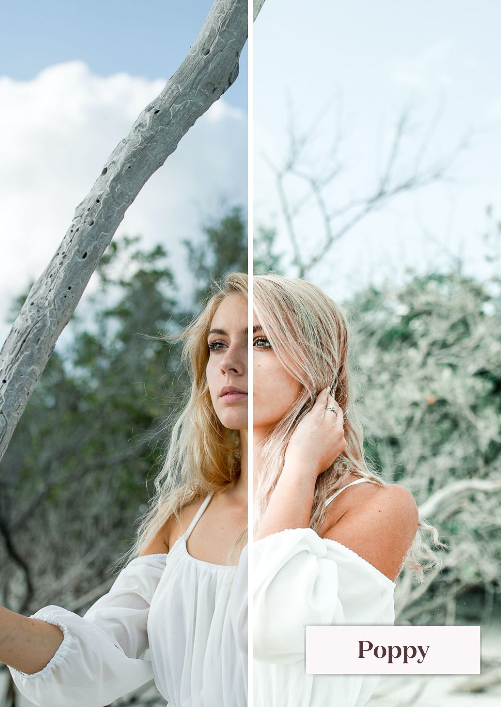 Spring Collection (Presets) - Creative Kits