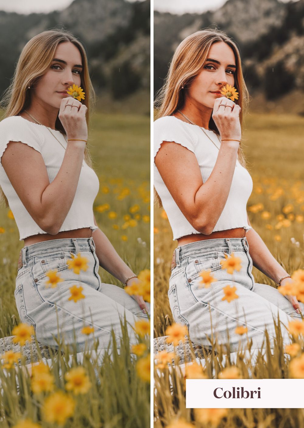 Spring Collection (Presets) - Creative Kits