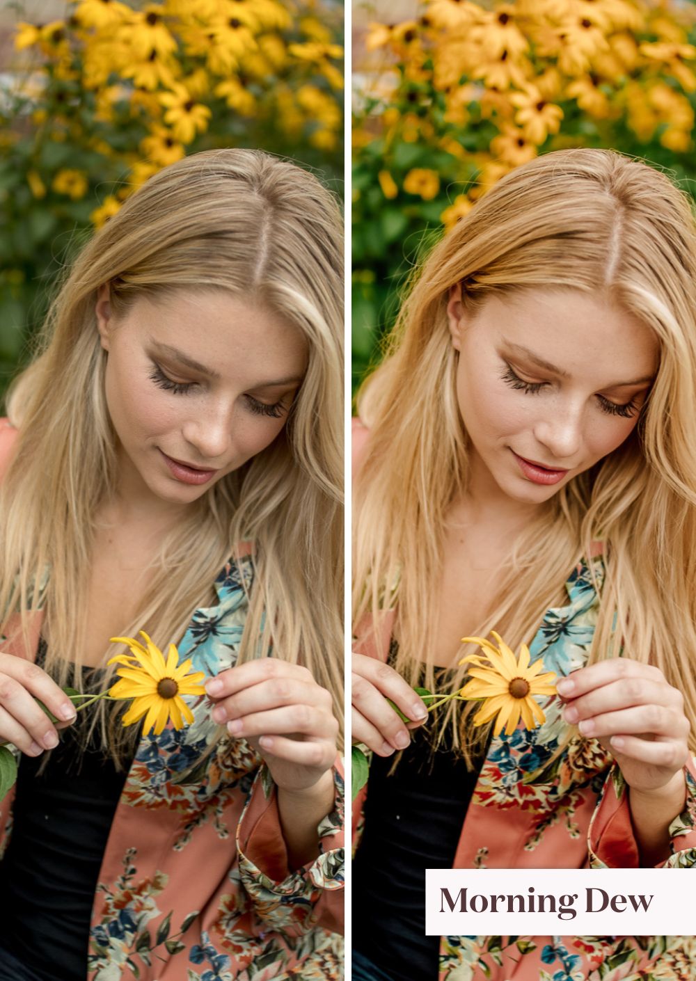 Spring Collection (Presets) - Creative Kits