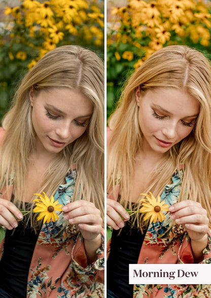Spring Collection (Presets) - Creative Kits