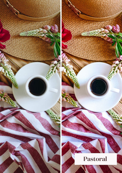 Springtime Presets Collection - Creative Kits