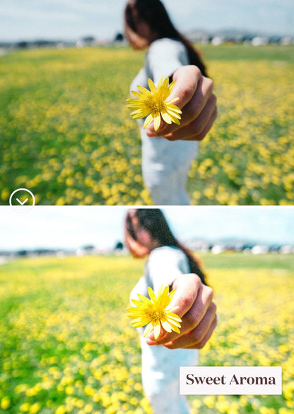 Springtime Presets Collection - Creative Kits