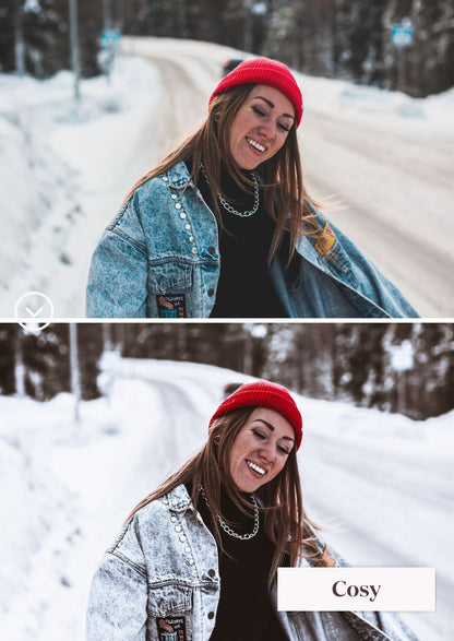 Winter Collection (Presets) - Creative Kits
