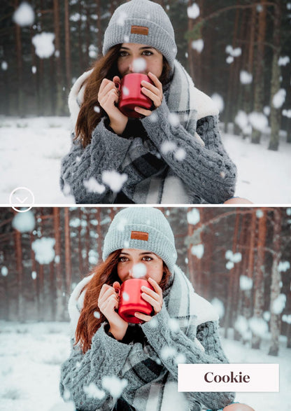 Winter Collection (Presets) - Creative Kits
